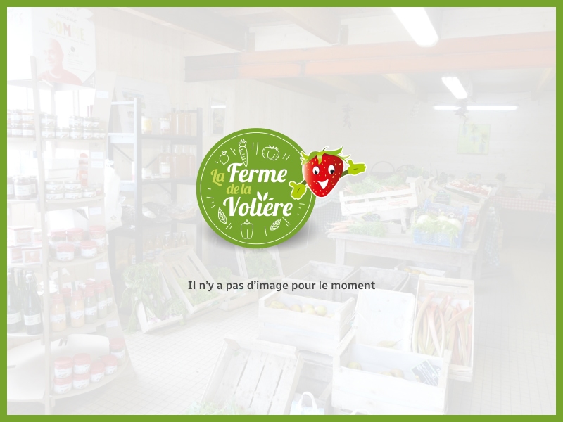 Arrivage racine endive